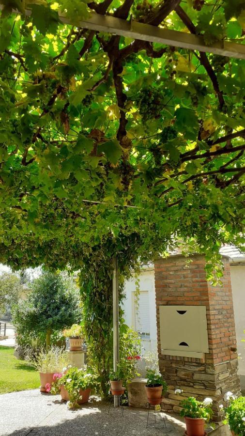 El Maragato Villa Castrillo de Cepeda ภายนอก รูปภาพ
